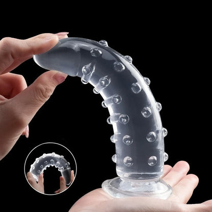 Textured Suction Cup Dildo | Hapsy
