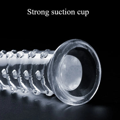 Textured Suction Cup Dildo | Hapsy