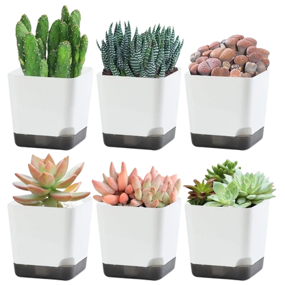 5Pcs Plant Pots, Self Watering Flower Pots Indoor Outdoor, Self Watering Planters with Drainage Hole & Clear Saucer Reservoir