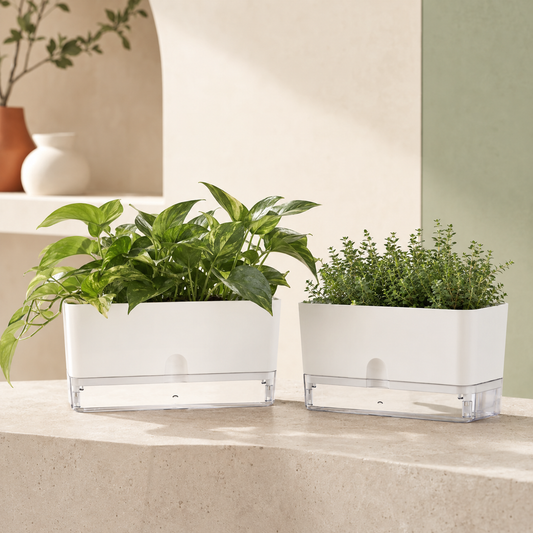Set of 2 Self-Watering Planters for Plants