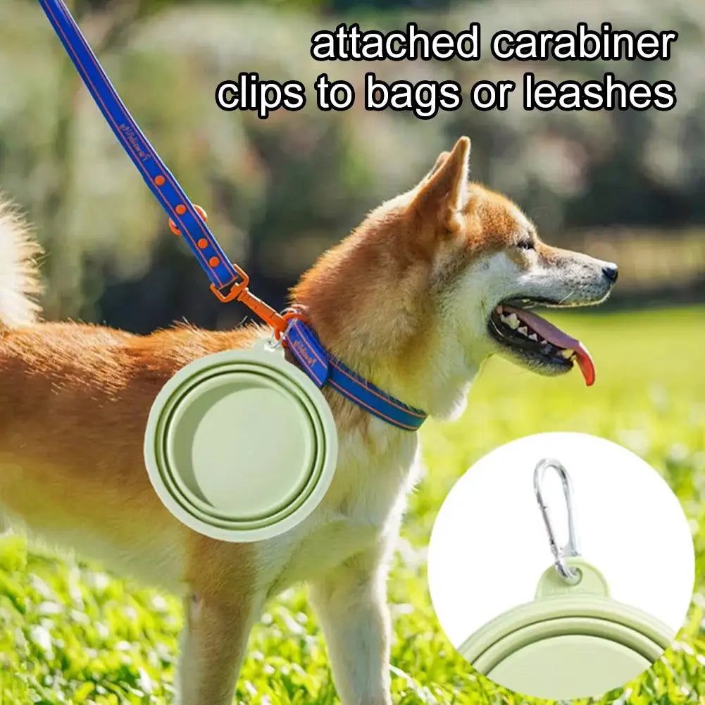 Collapsible Silicone Pet Bowl Portable Foldable Food-Grade Water Dish for Dogs Cats, Macaron Color Travel Feeding Bowl